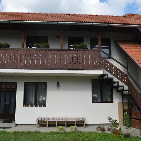 Havasi Gyopar Bed & Breakfast Praid Eksteriør bilde